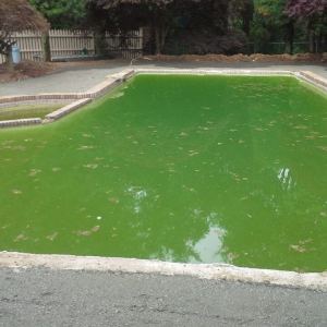 gunitepoolct52
