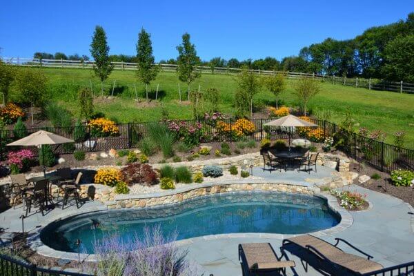 Freeform Inground Gunite Swimming Pool Design