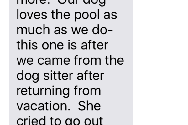 Text Message About Dog In Pool