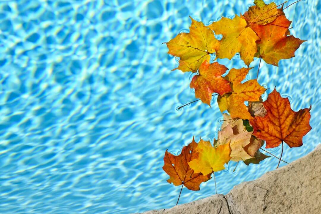 Inground Swimming Pool and Fall Leafs