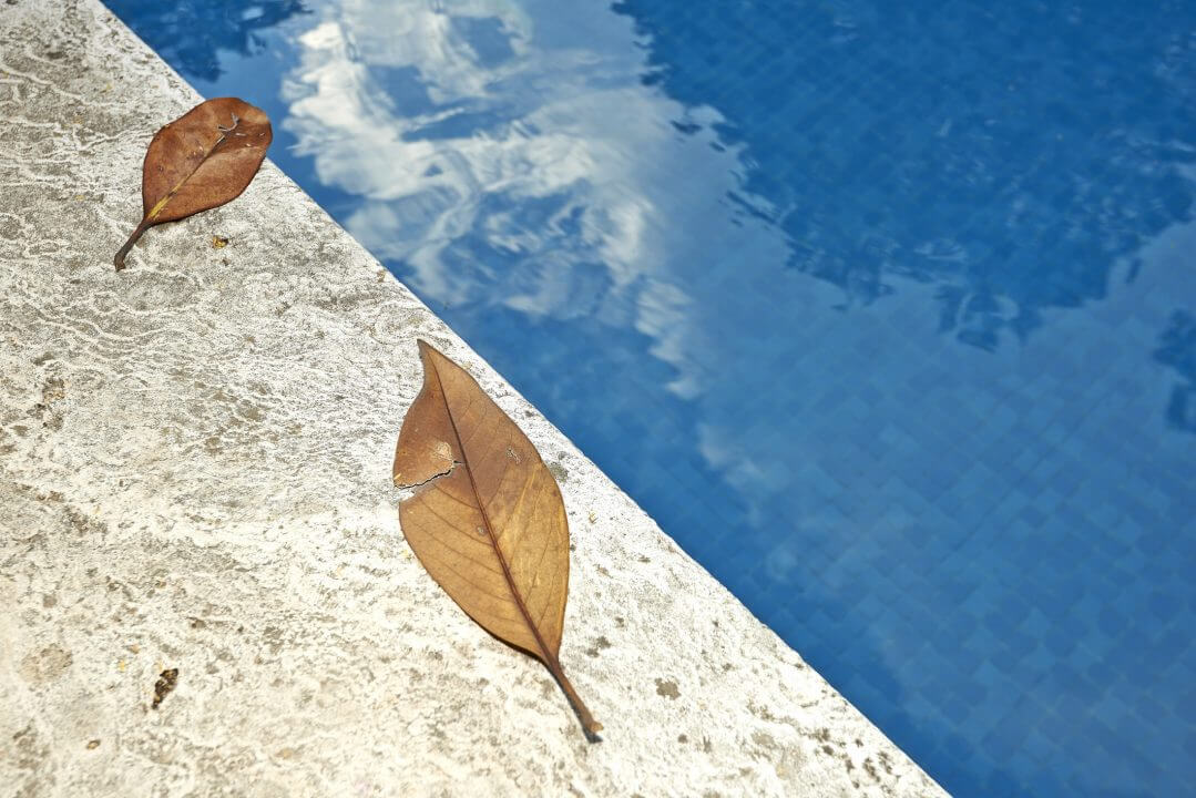 Swimming Pool Leaf Removal Tips
